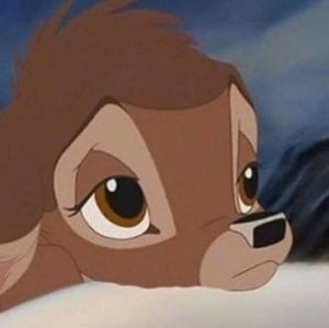 Meet your Posher, Kian